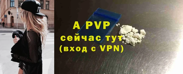соль ск Кулебаки