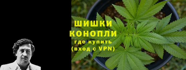 соль ск Кулебаки