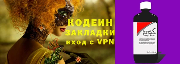 соль ск Кулебаки