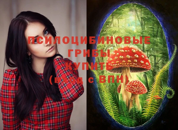 2c-b Куйбышев