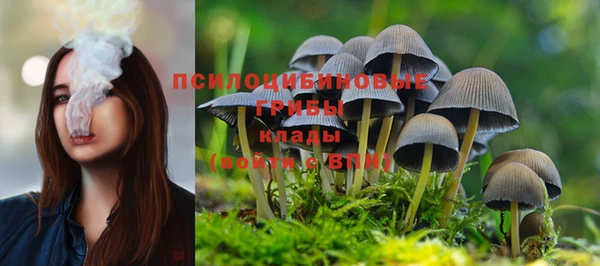 соль ск Кулебаки