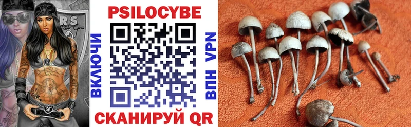 Купить  Кубинка  Галлюциногенные грибы мухоморы 